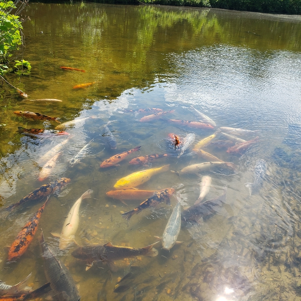 Making an offer is okay!!